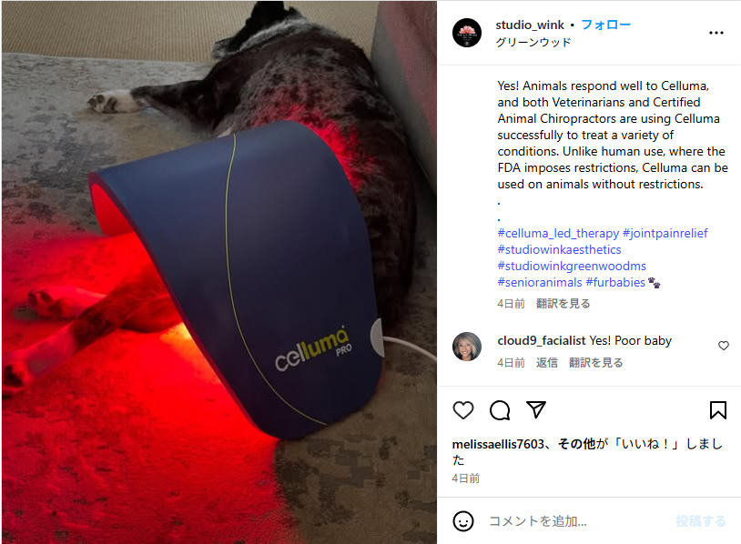 Instagramに掲載された記事