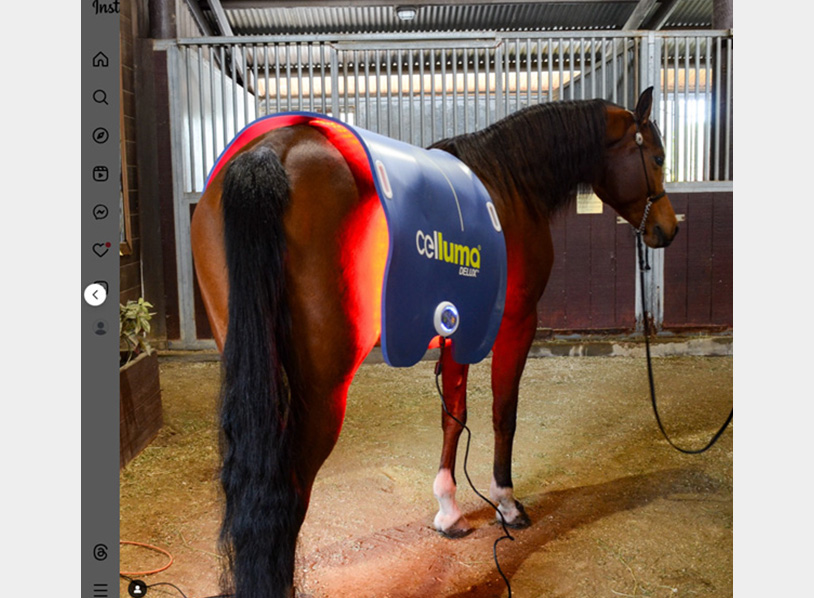 海外セルーマ使用例