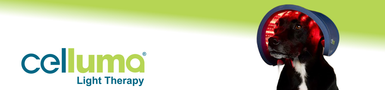 Celluma Light Therapy