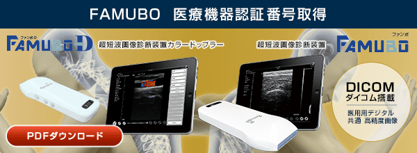 Famubo 医療機器認証番号取得
