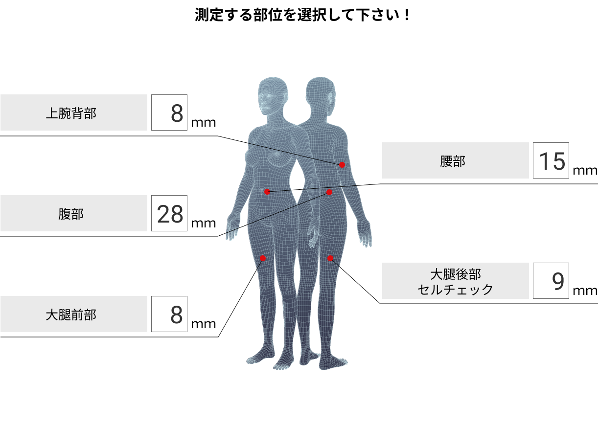 5か所を測定するだけで体型がわかる