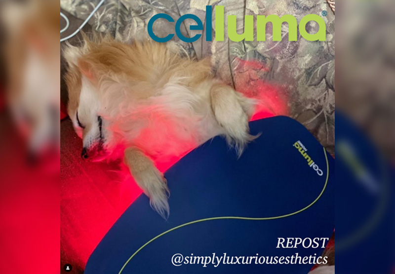 Celluma LITE