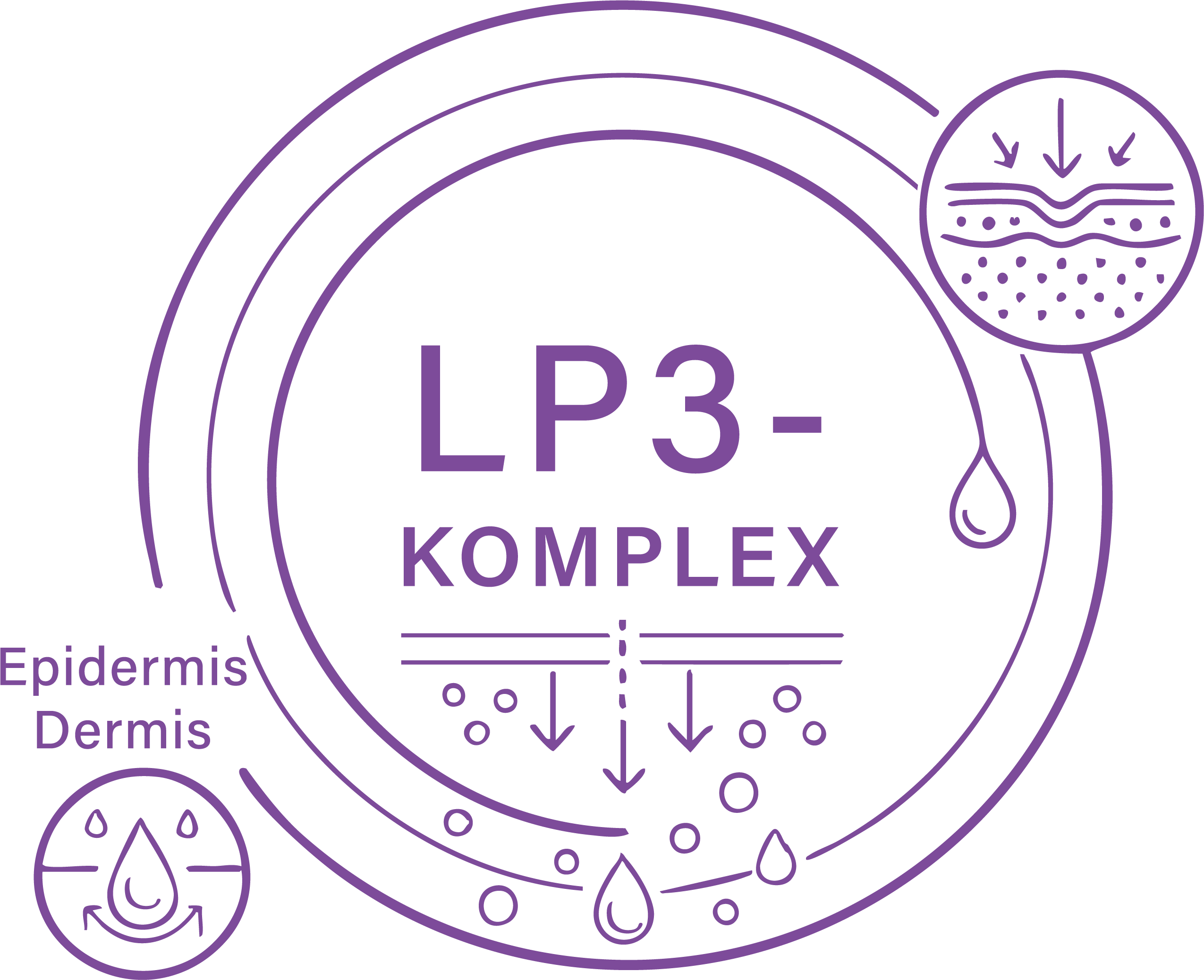 LP3