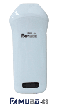 FAMUBO-CS