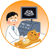 動物病院でFAMUBO使用