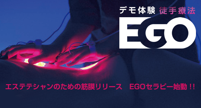 EGO(エゴ)デモ体験